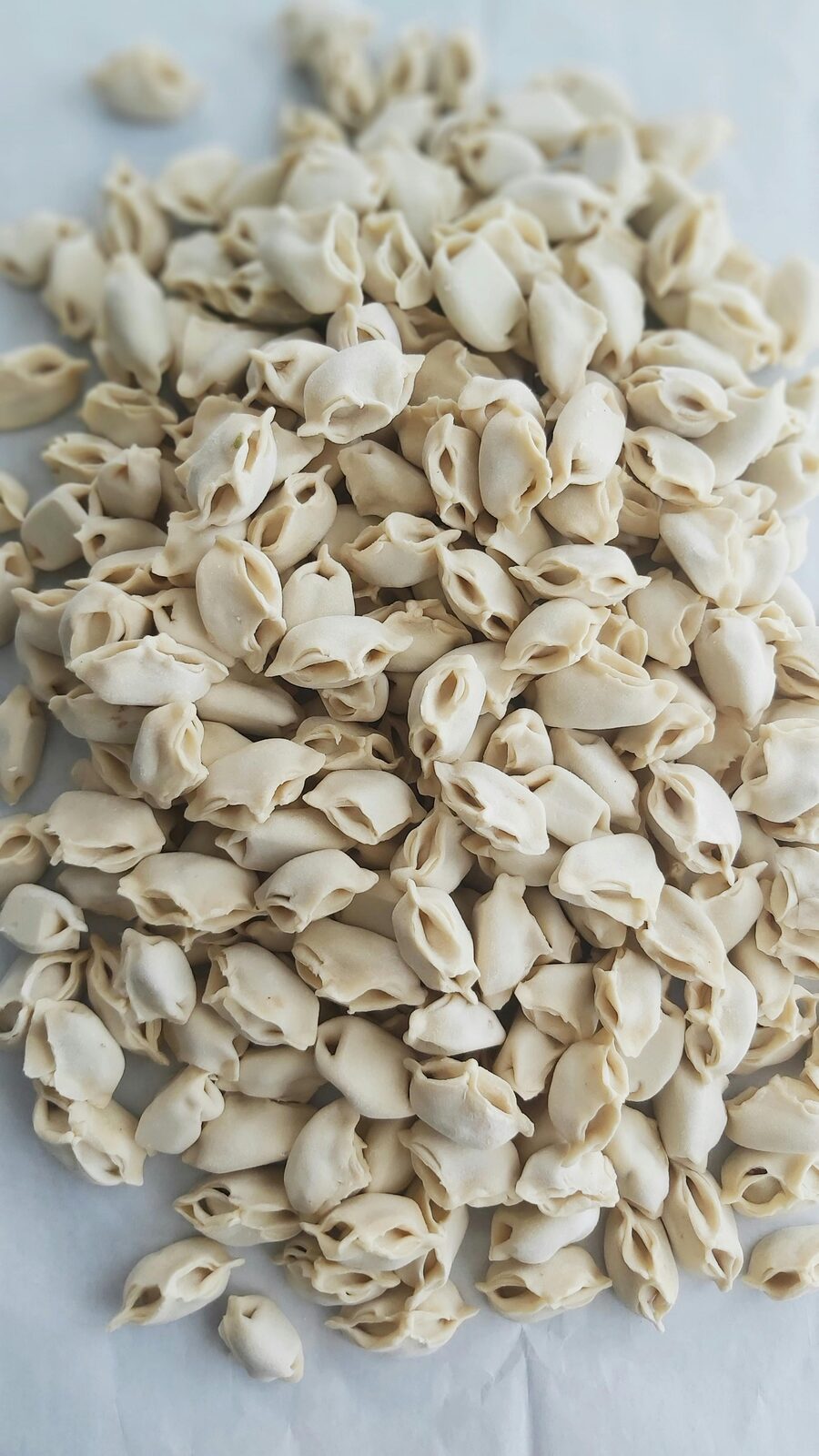Agnolotti del plin: storia, ricetta e dove mangiarli in Piemonte